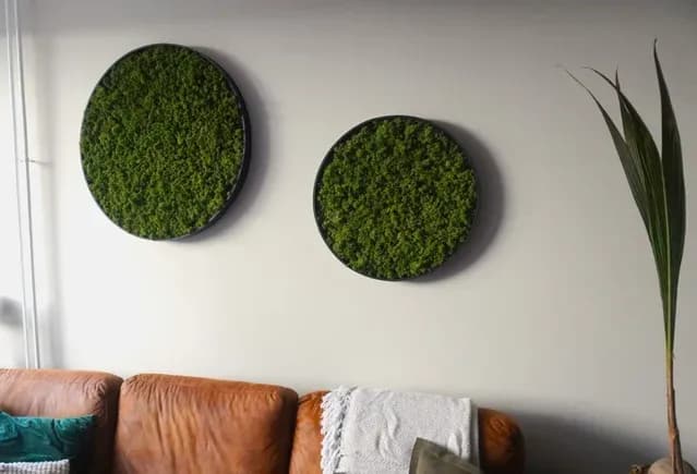 Mosschilderijen: de ideale verrijking voor elk interieur