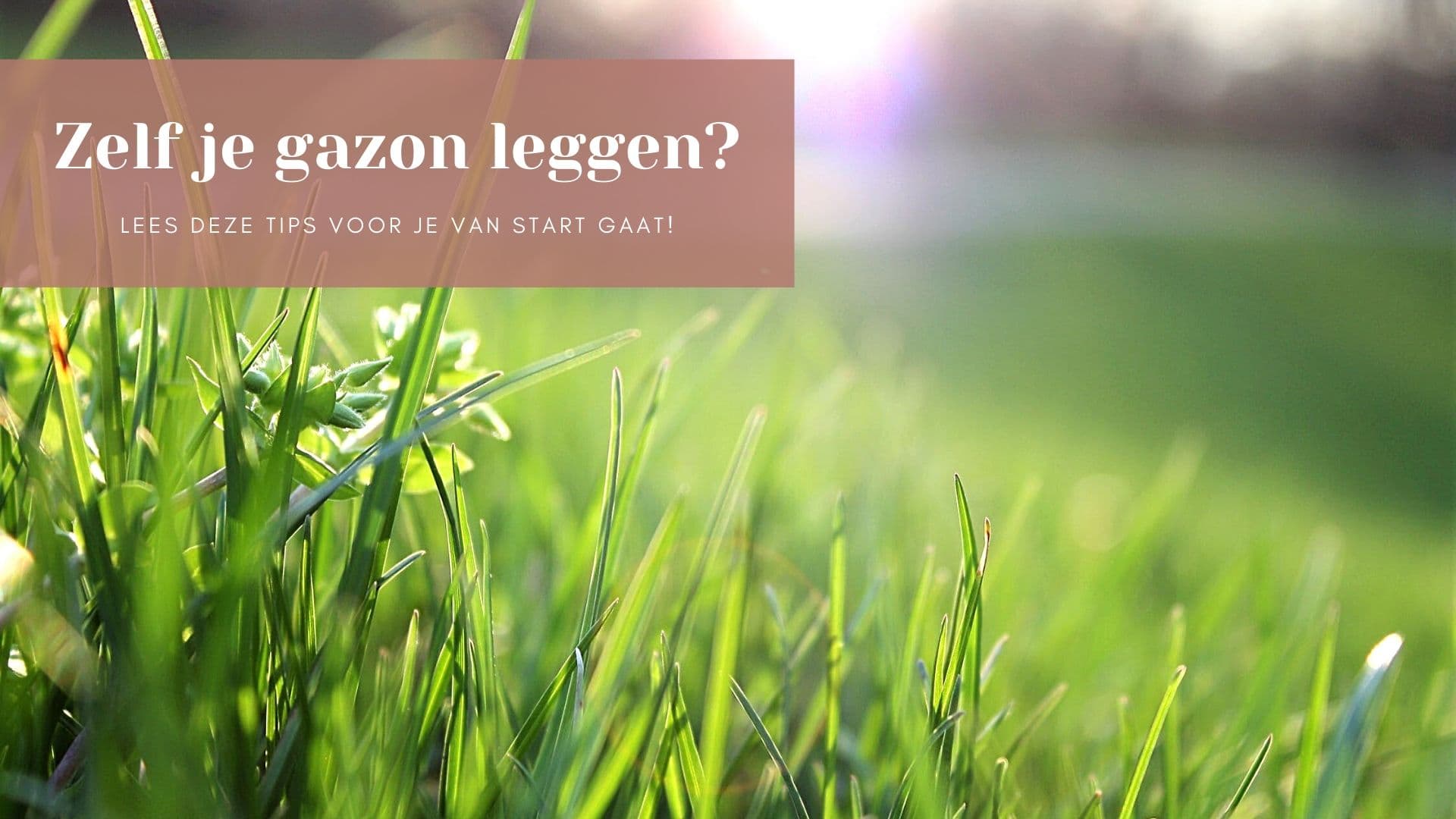 Zelf graszoden leggen? Lees eerst deze tips!
