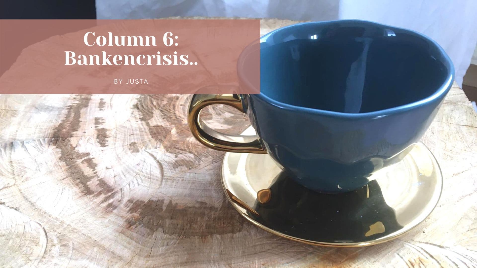 Column 6: Bankencrisis in huis