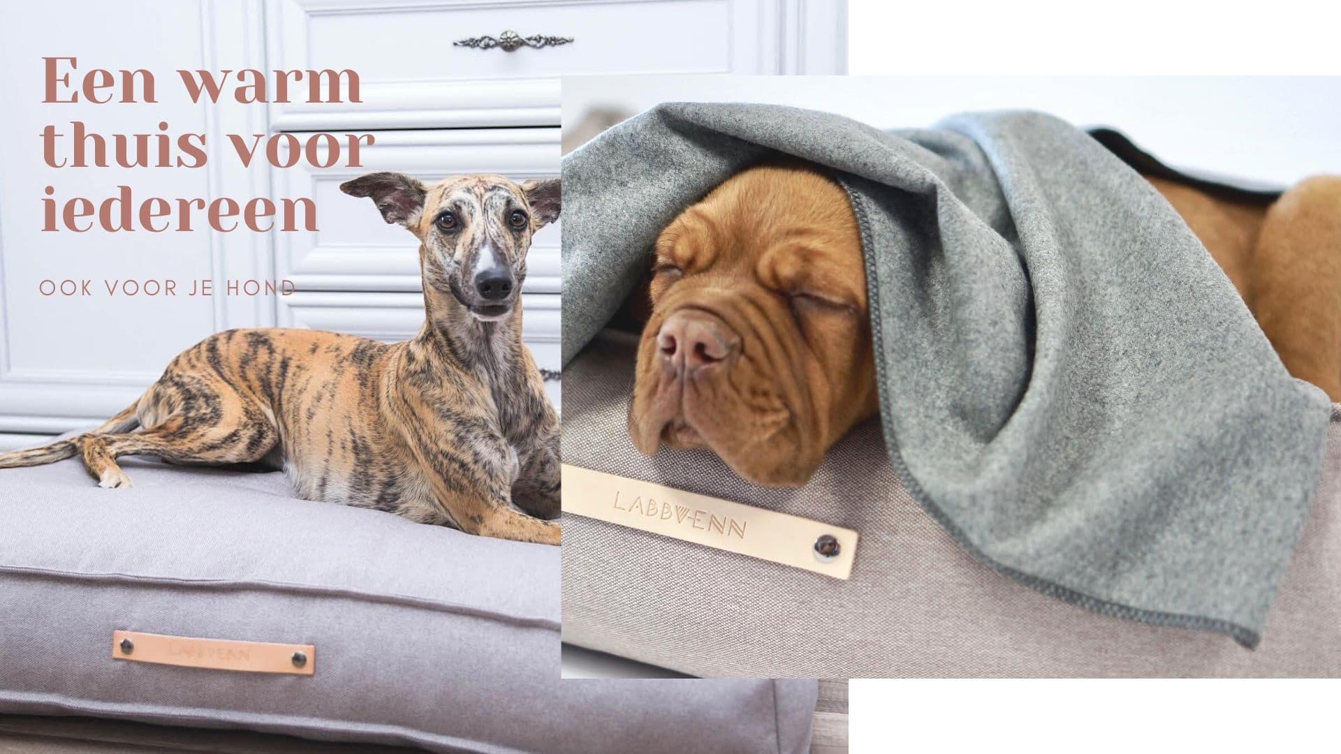 Voor iedereen een warm thuis