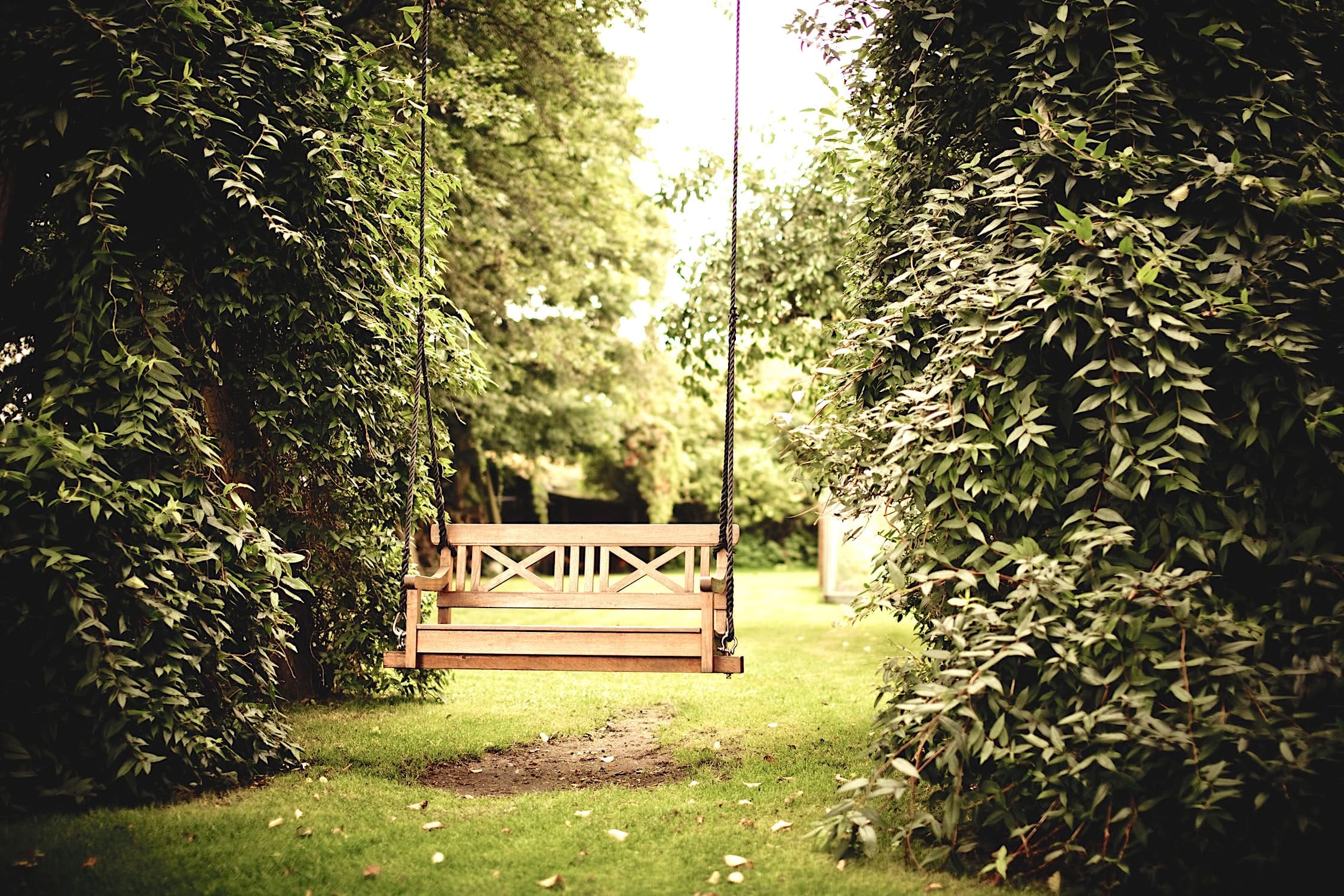 Tips voor een onderhoudsvriendelijke tuin